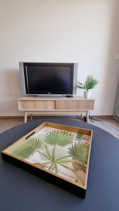 Magnifique Sur Le Port De Appartement